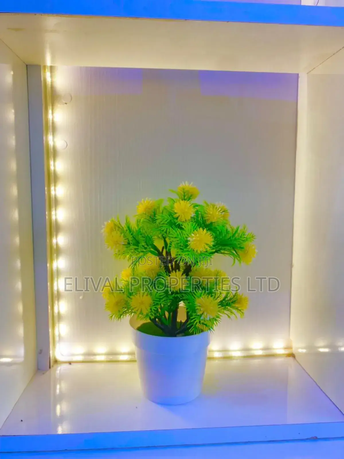 Luxurious 3bedroom Serviced Apartment