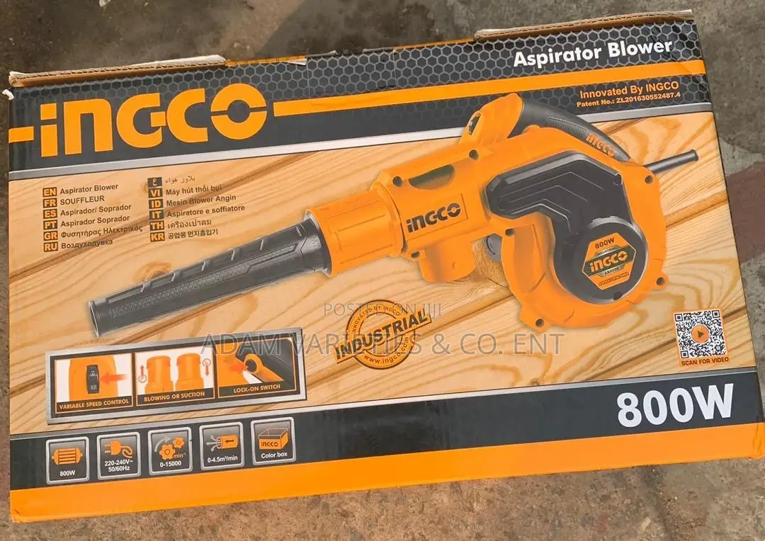 Aspirator Blower 800w
