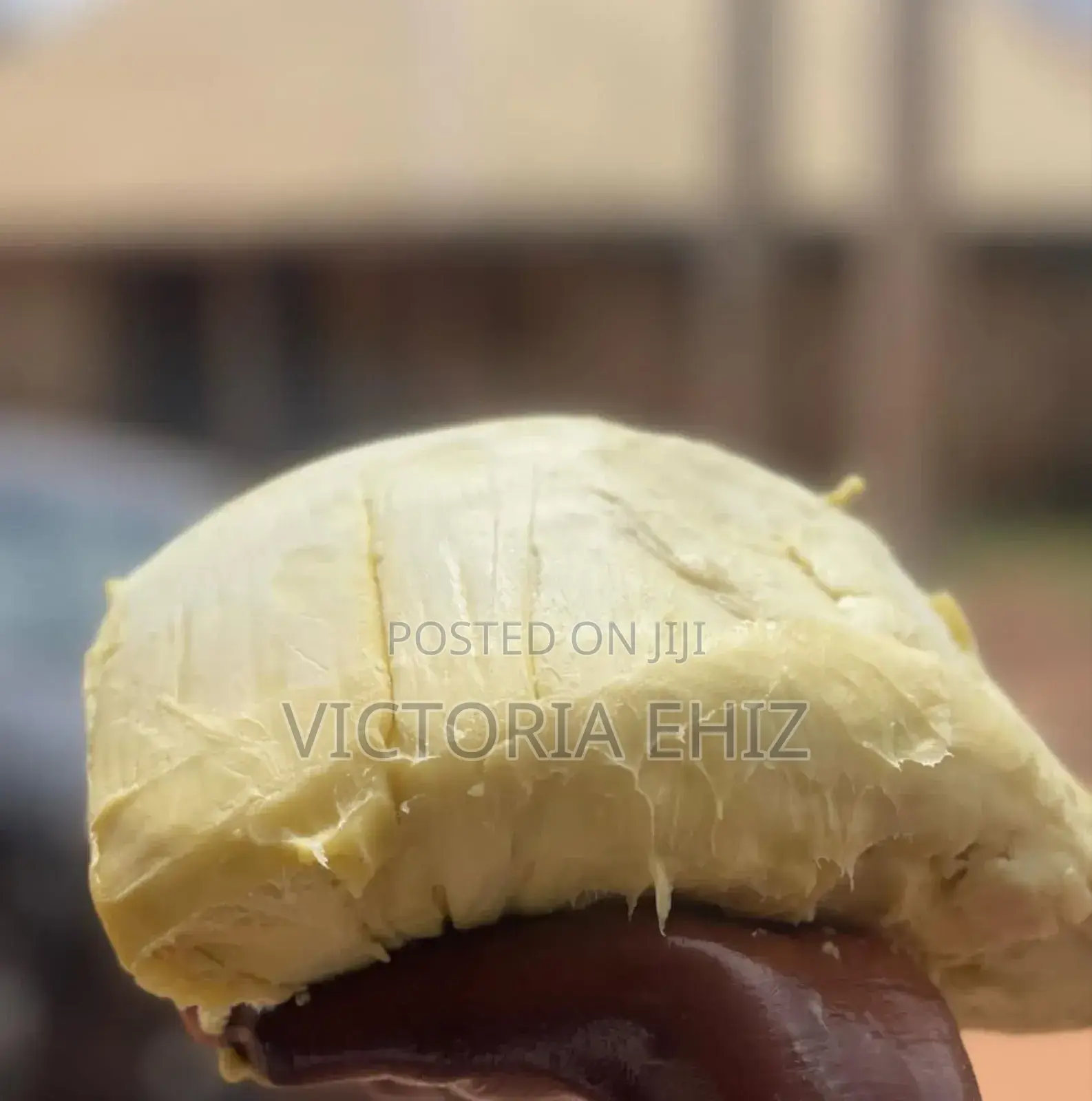 Shea Butter
