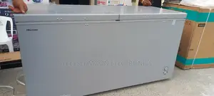 Hisense 500lts Deep Freezer Low Voltage Supper Expert Coo