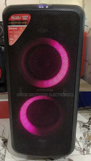 F D Speaker and Home Theater (Pa300)