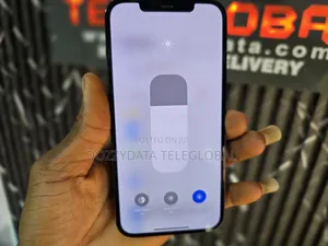 Apple iPhone 12 Pro Max 256 GB Blue