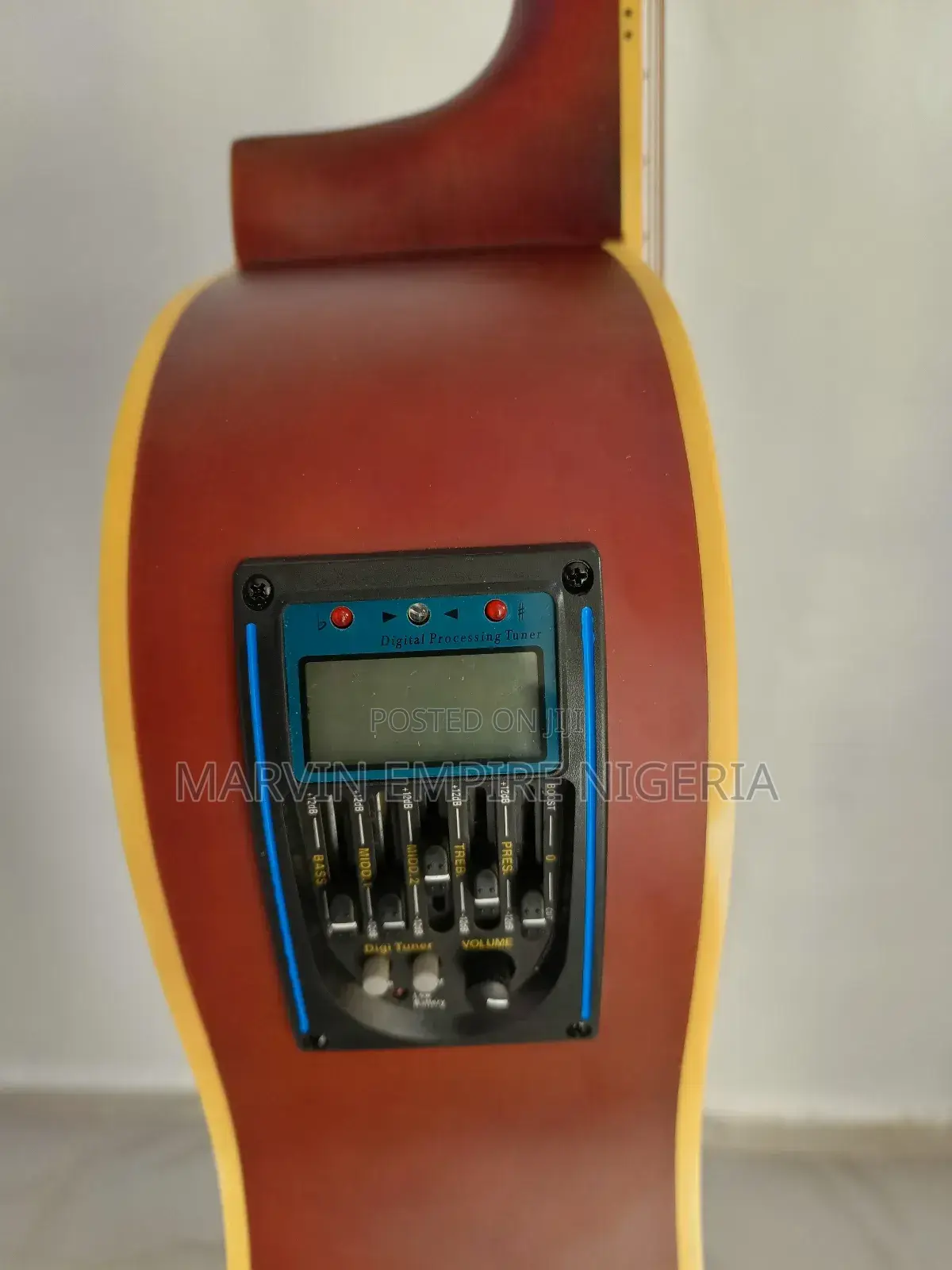 Electroacoustic Semi Guitar