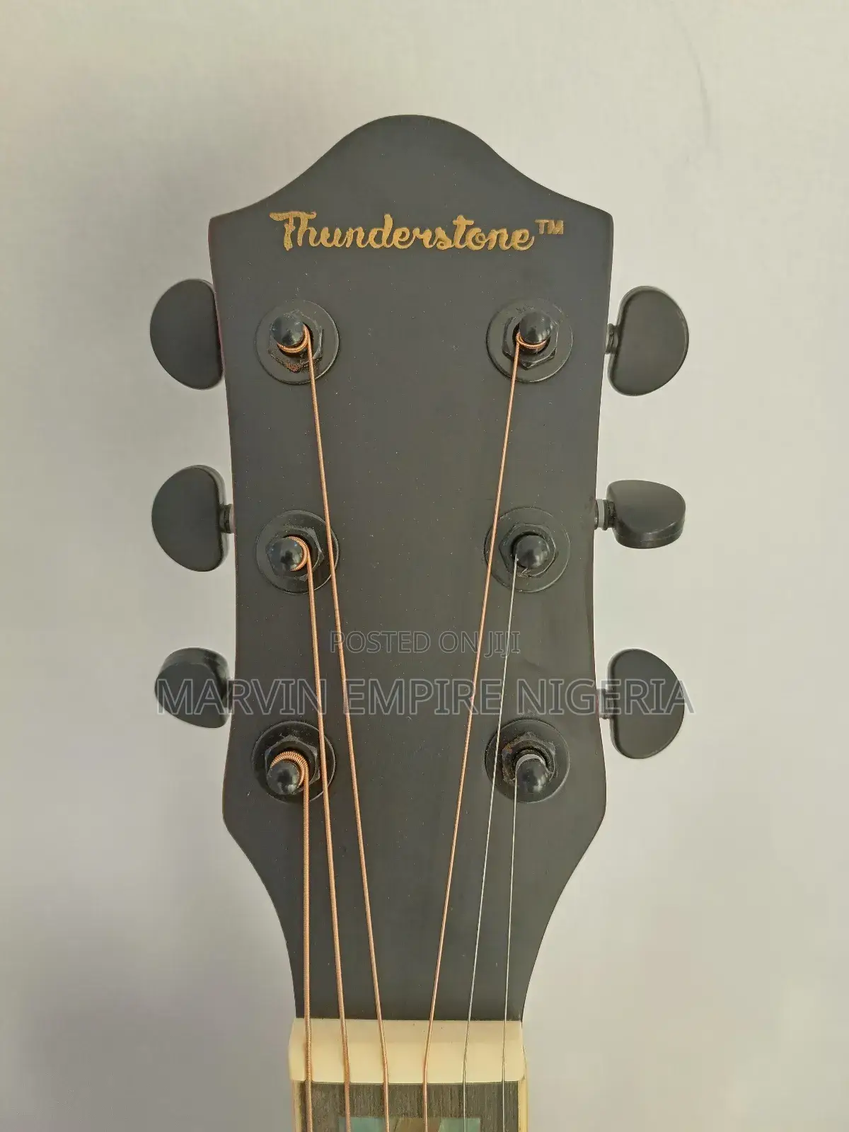 Electroacoustic Semi Guitar