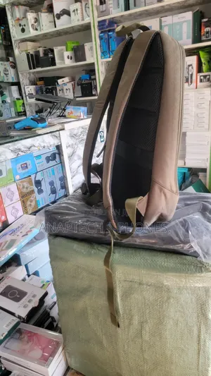 Backup Laptop Bag