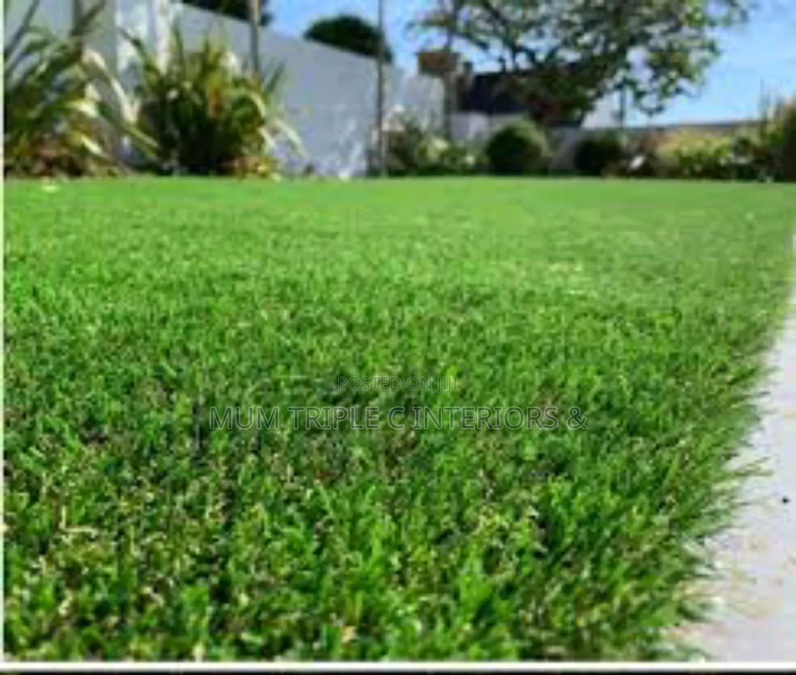 Quality 35 Mm Artificial Grass Carpet