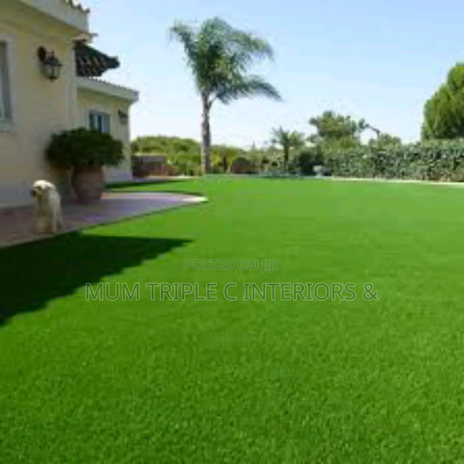 Artifcial CARPET and Rugs.Z