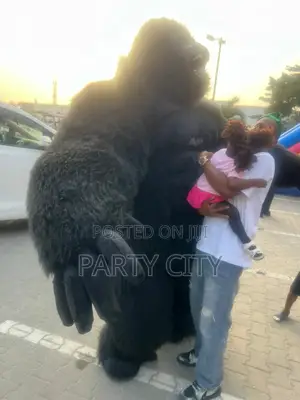 Black And Grey Gorilla For Event Rentals