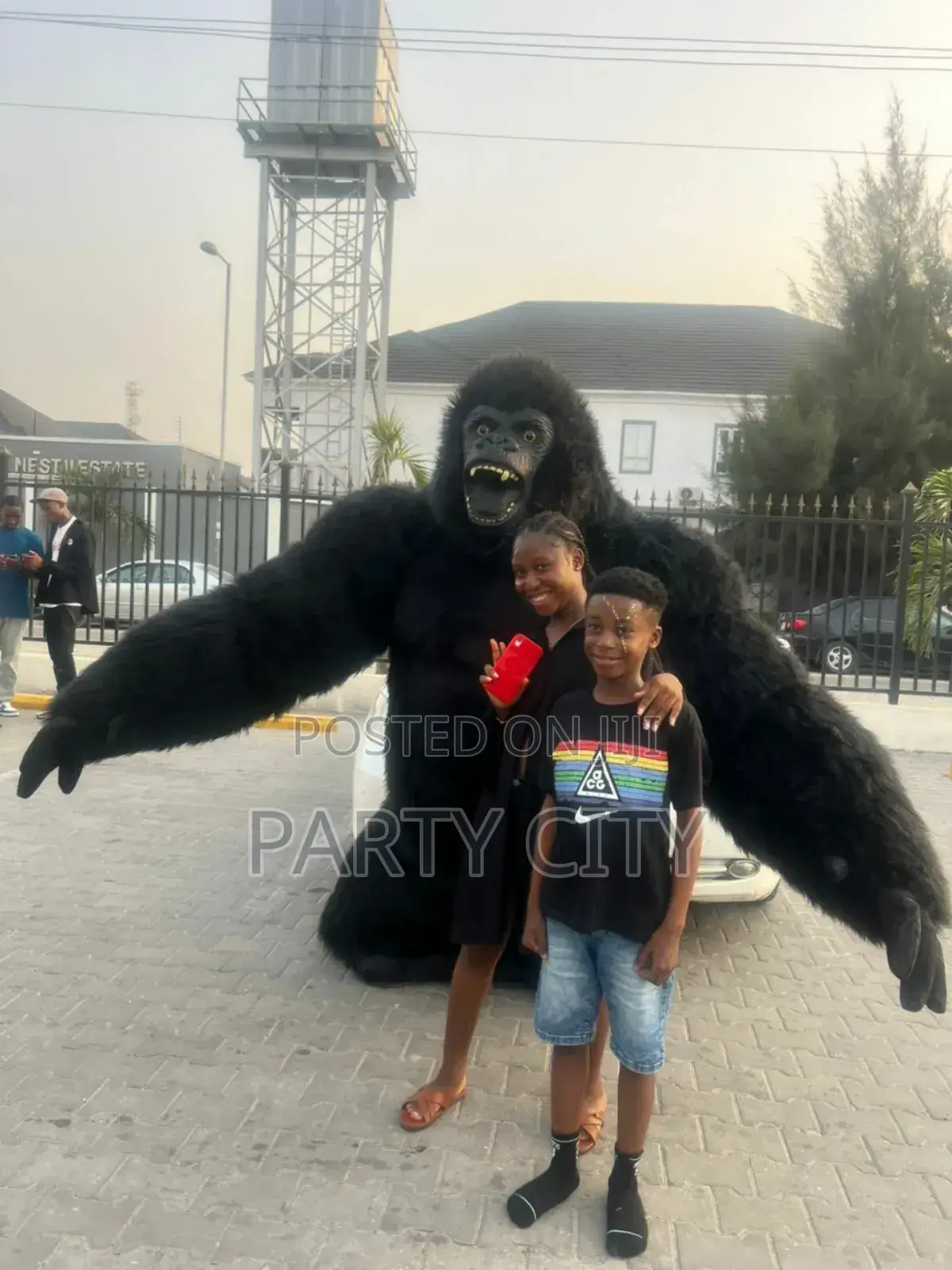 Black And Grey Gorilla For Event Rentals