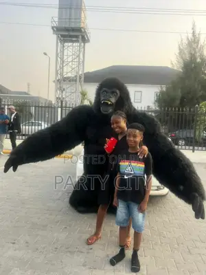 Black And Grey Gorilla For Event Rentals