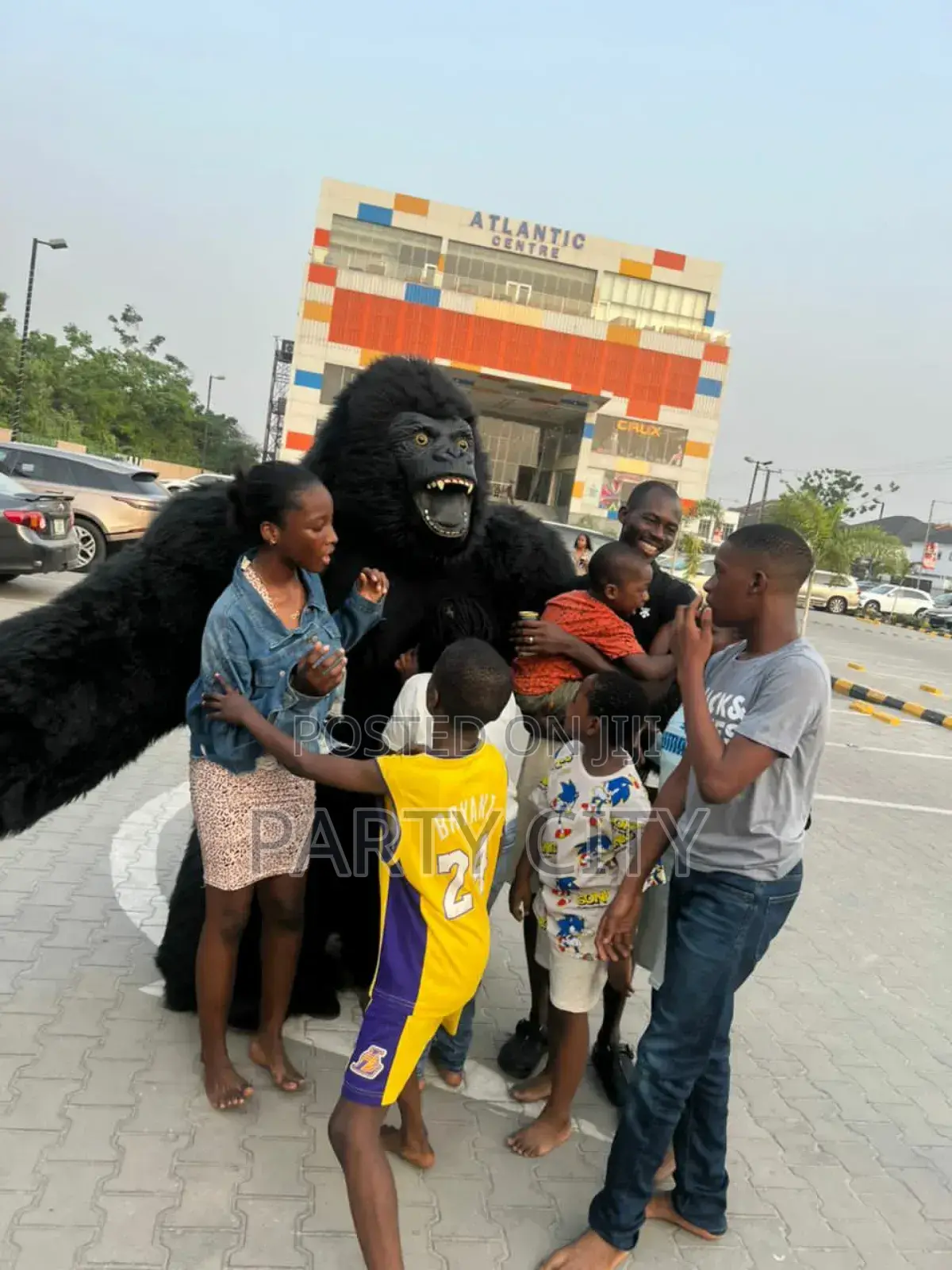 Black And Grey Gorilla For Event Rentals