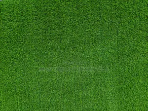 Carpet GRASS