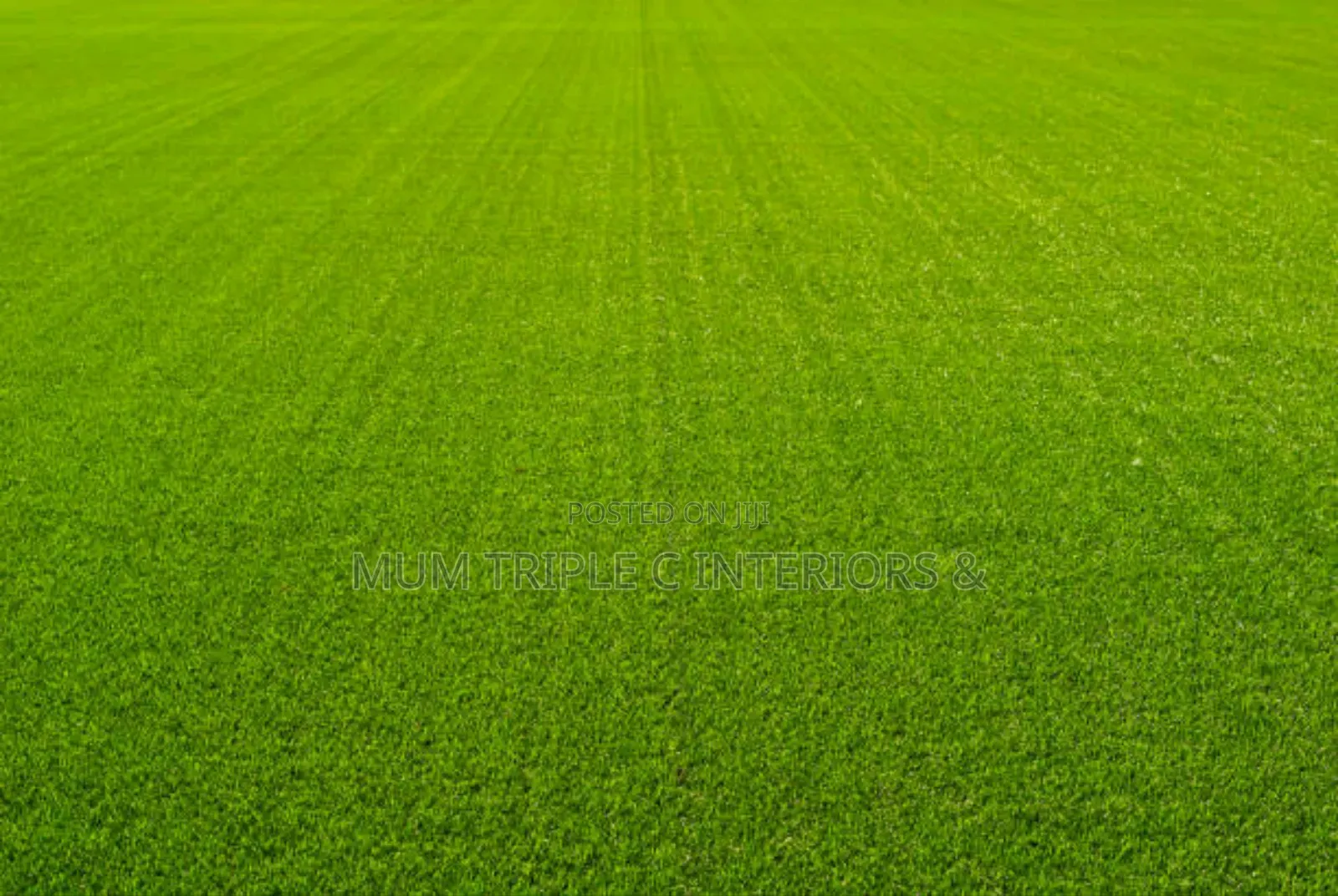 Hard Base 10mm Artificial Grass
