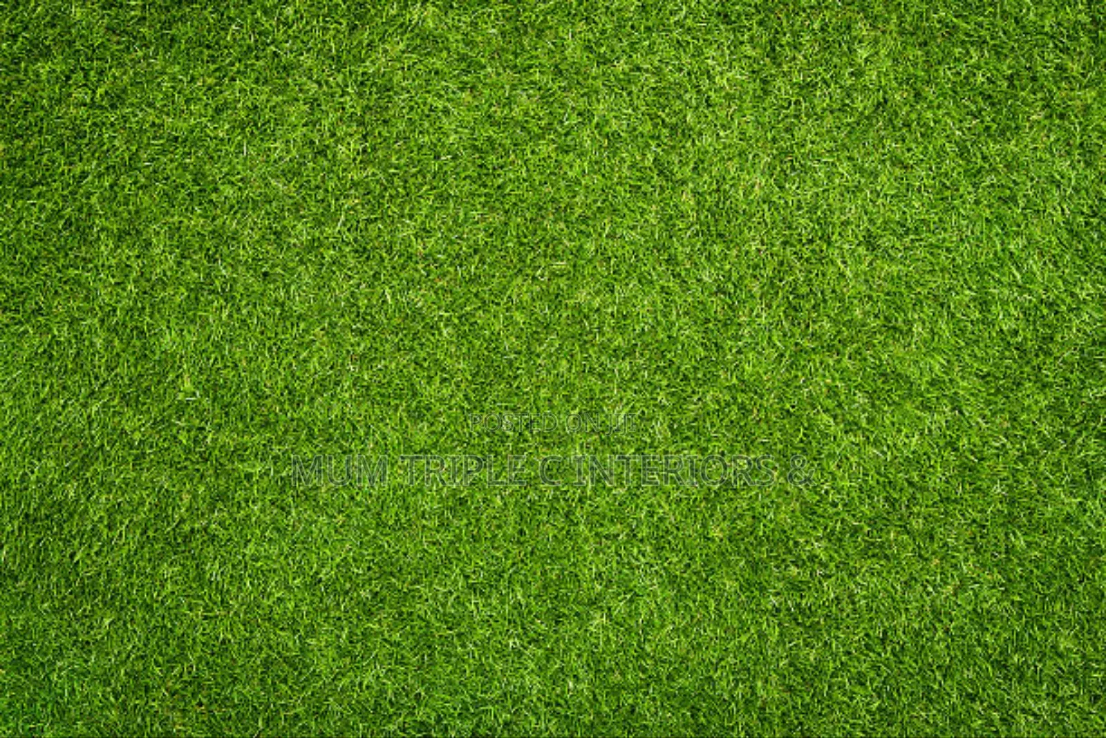 Artificial Grass Synthetic Standard 25mm