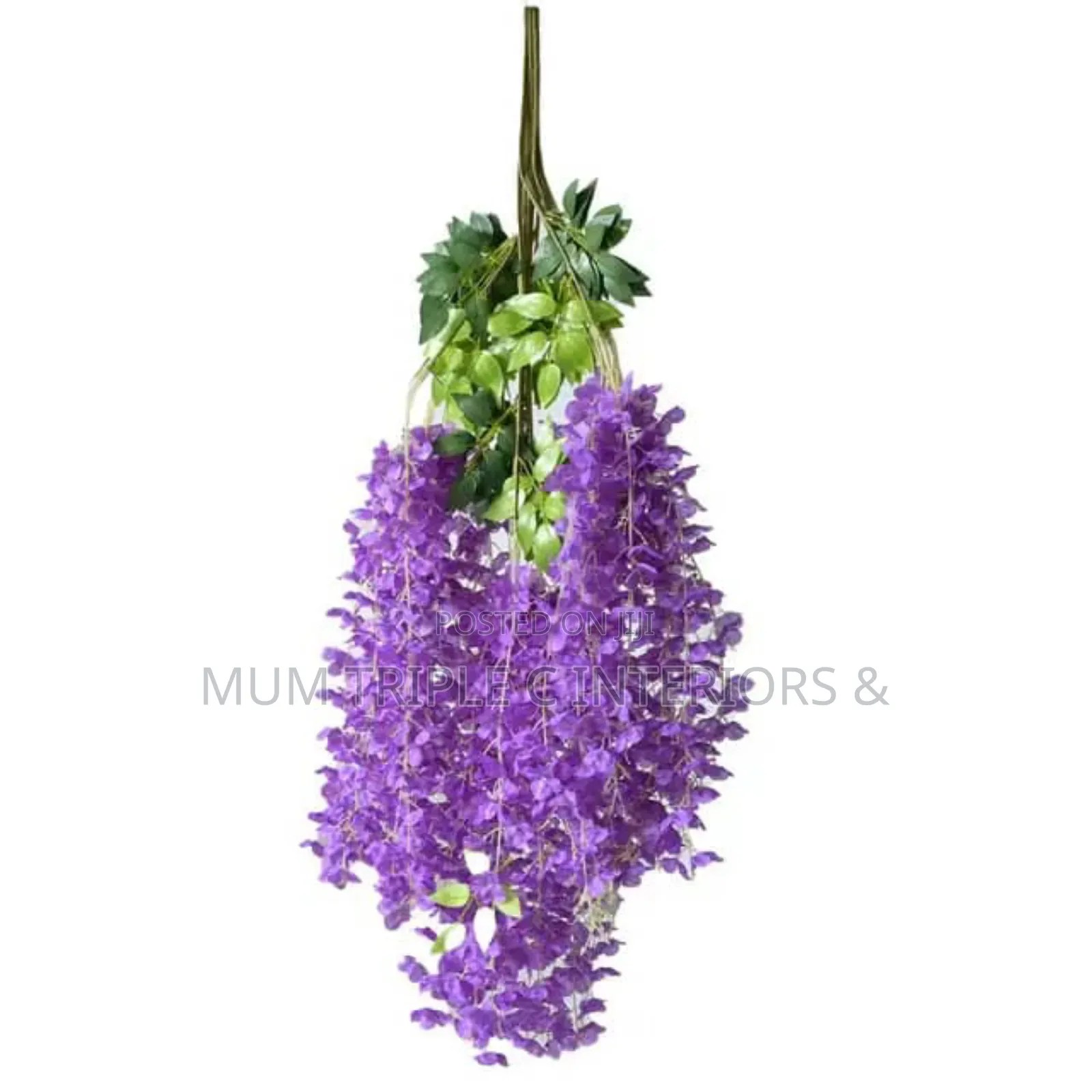 Winteria Artificial Flower For Exotic Decore