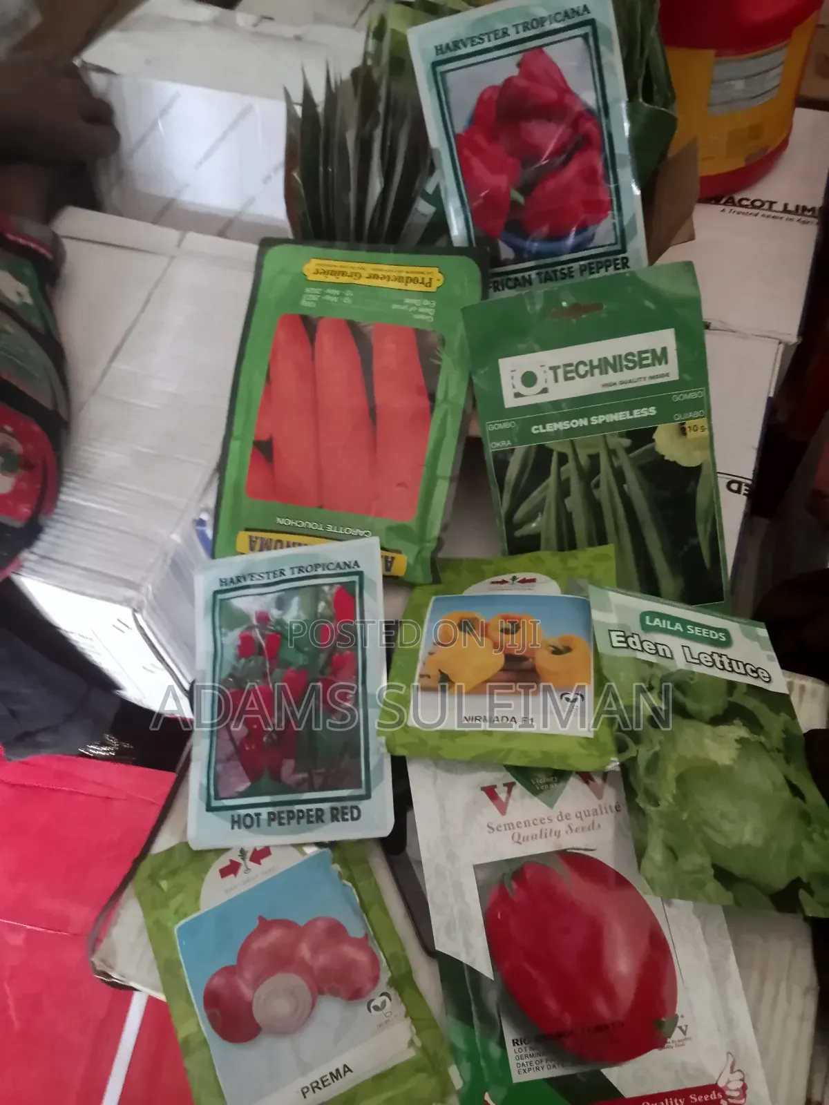 Vegetables Seeds