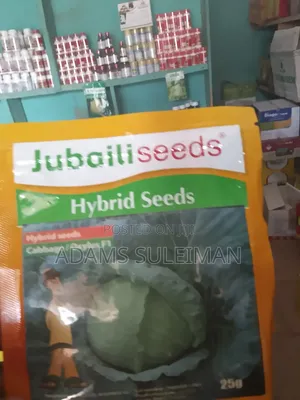 Vegetables Seeds