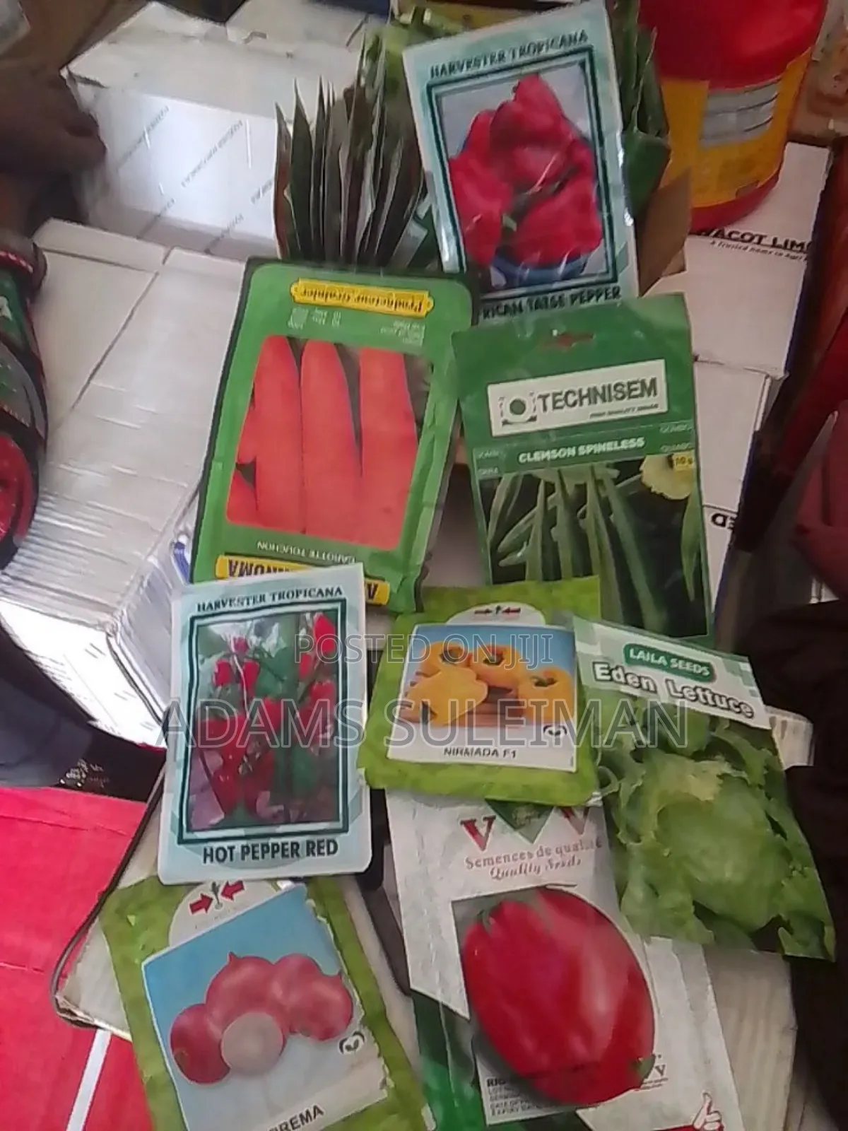 Vegetables Seeds