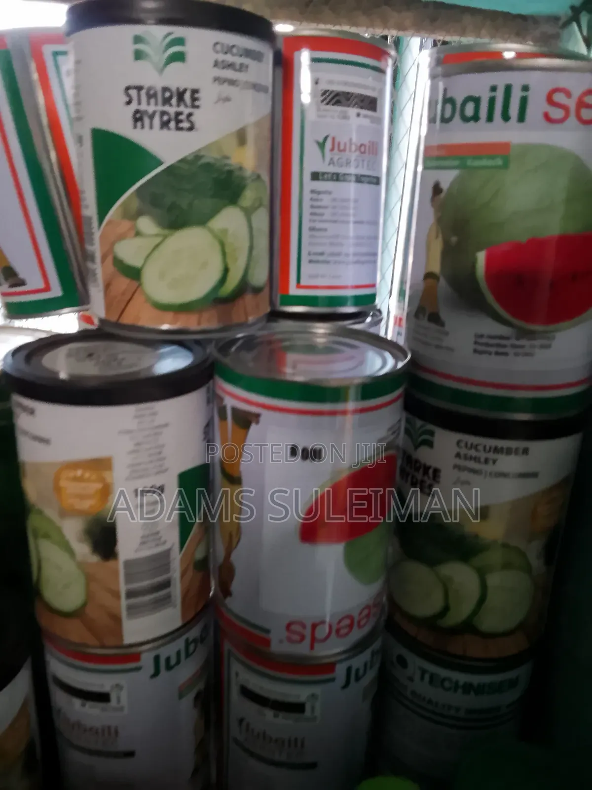 Vegetables Seeds