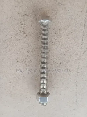M12x100 Stainless Steel (19bolt)4"