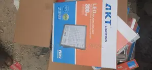 FLOOD LIGHT Akt 300wtts Separat Panel