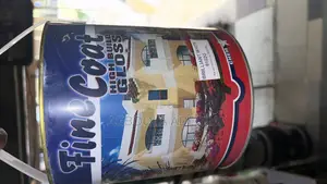 Finecoat Gloss Paint