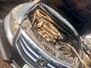 Professional Auto Mechanic