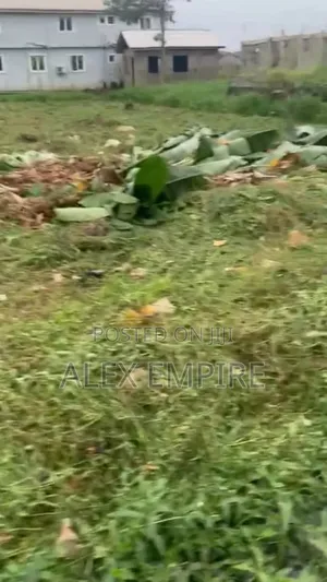 Half Plot of Land for Sale in Liasu Road, Ikotun