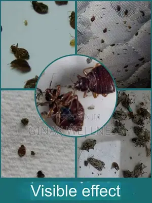 Bed Bugs and Insecticide Killing Powder