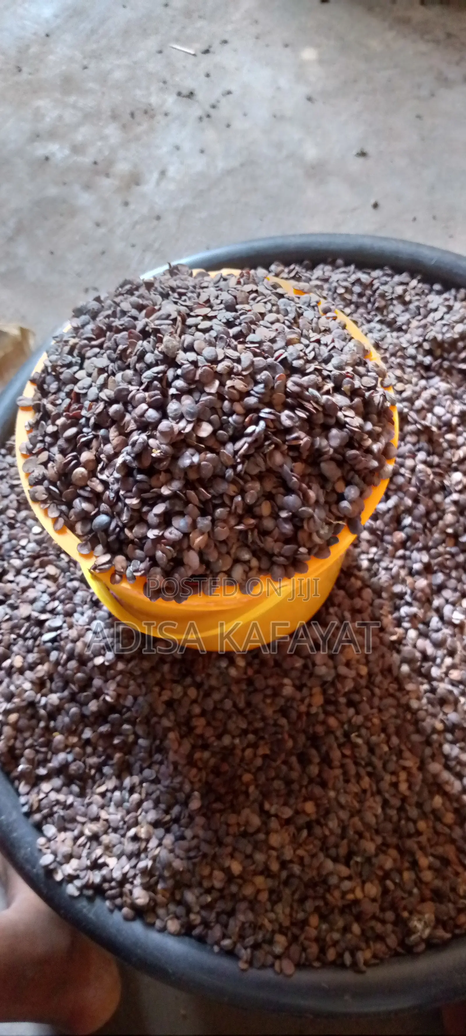 Iru Ekiti ( Locust Beans)