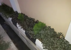 Expert Horticulturist Service's for Your Property