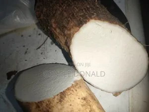 Treated Seed Yams