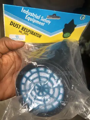 Dust Respirator Mask