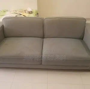 Sofa Chair Deep Cleaning Transformation