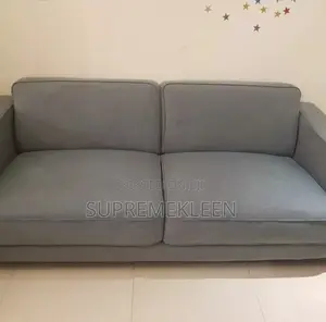 Sofa Chair Deep Cleaning Transformation
