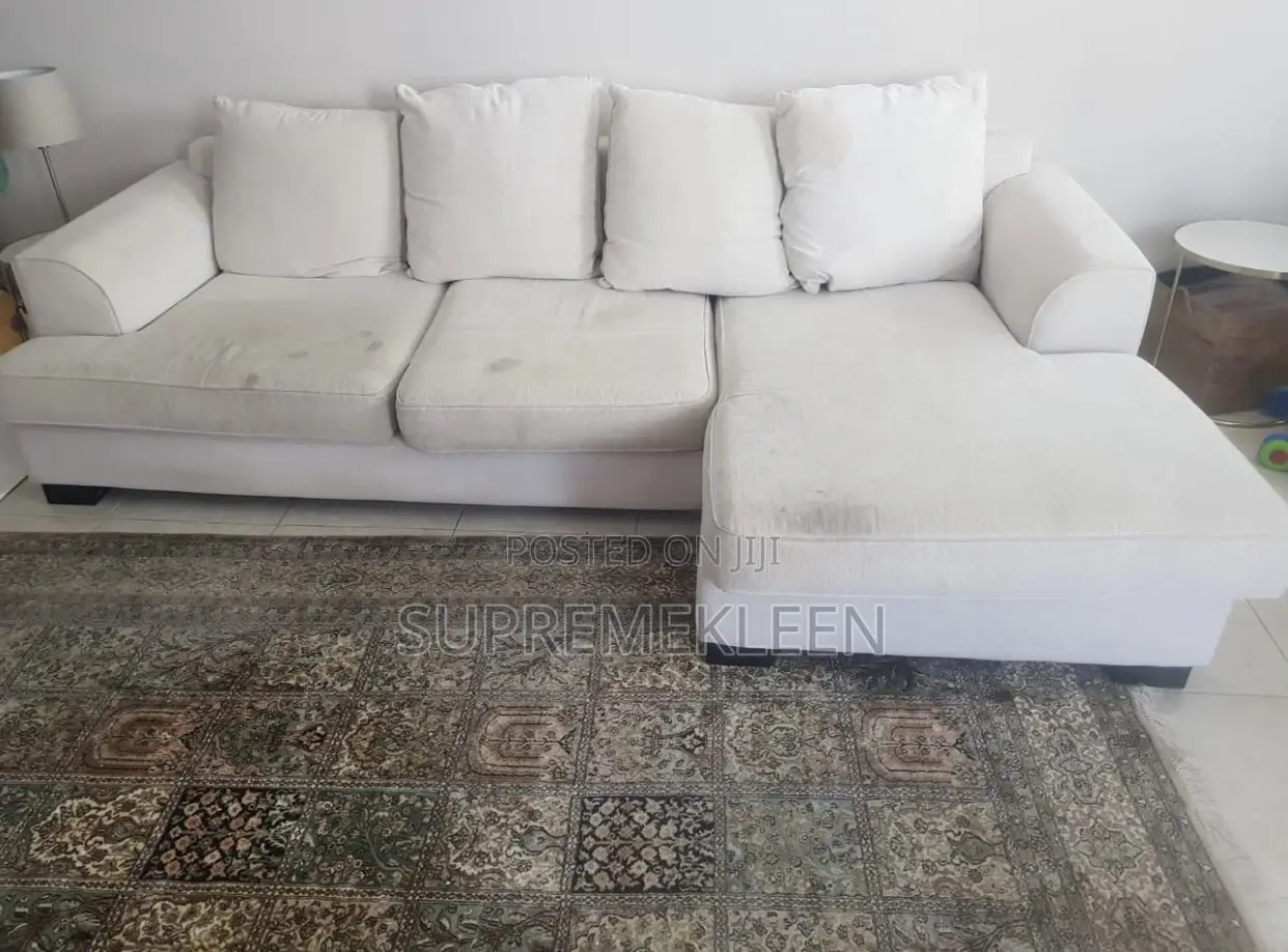 Sofa Chair Deep Cleaning Transformation