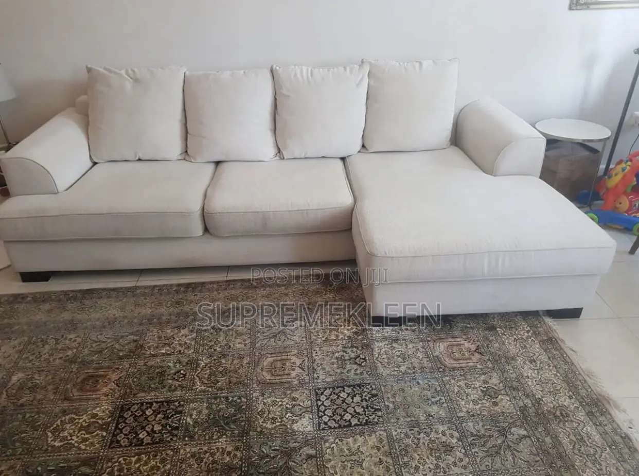 Sofa Chair Deep Cleaning Transformation