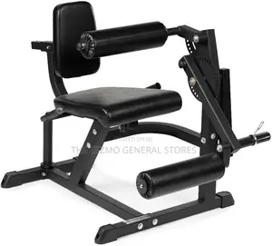 Leg Extension + Leg Curl Machine