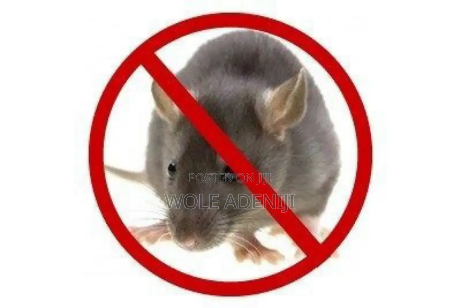 Fumigation/Pest Control Services