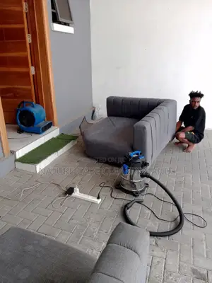 Professional Upholstery/Coach Cleaning. Wash/Dry