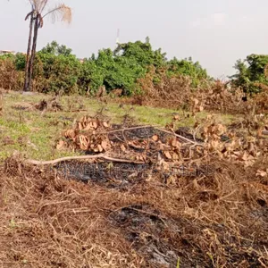 Two Plots of Land Together at Cele Bus-Stop