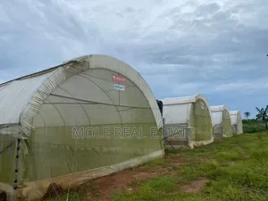 14 Acres Mordern Green Farm Odogbolu Ogun State