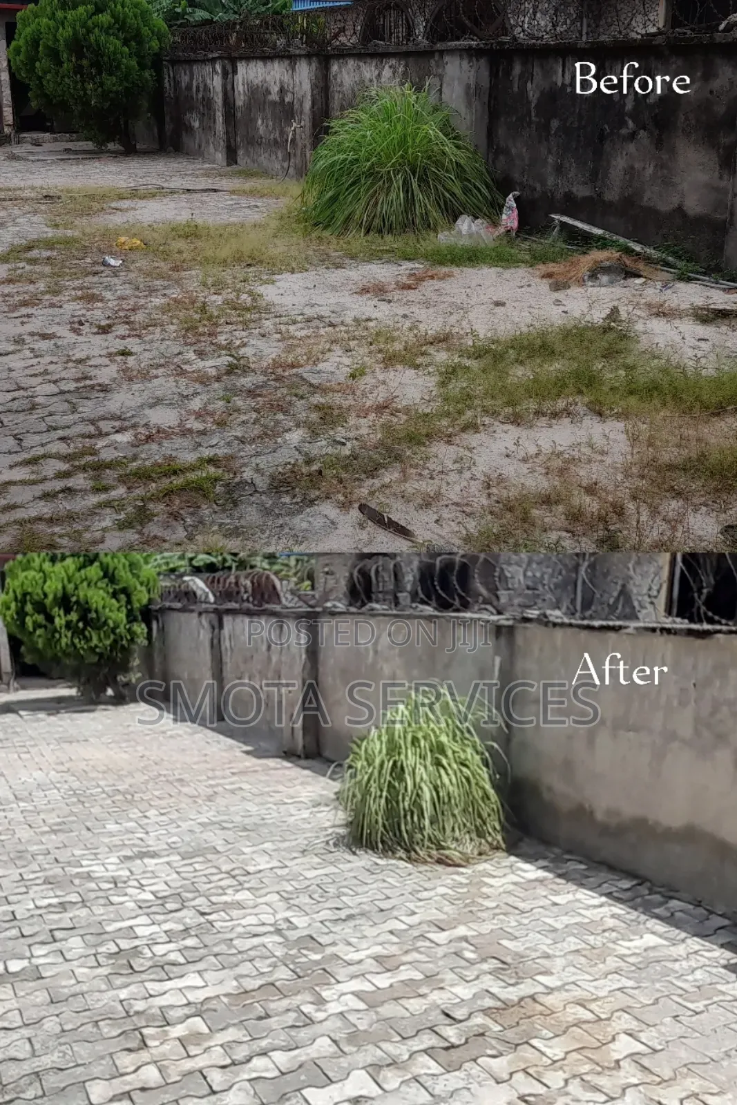Concrete/Interlocking Washing