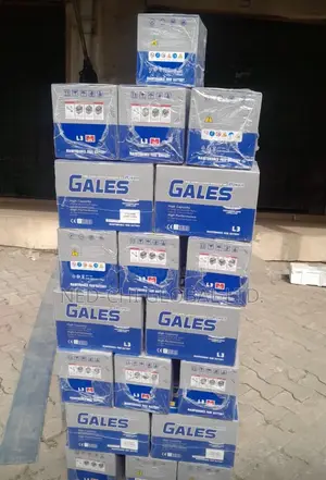 Quality Salon Battery 12v 75ahs Gales