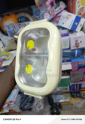 Children Compatiment Food Flask Plate