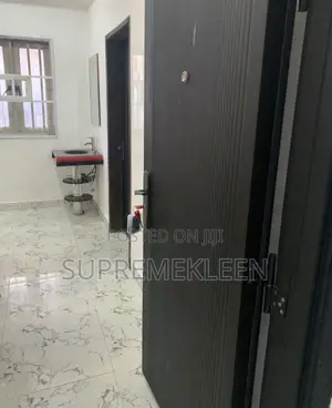 Professional Home Office Cleaning and Fumigation Service