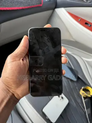 Apple iPhone 15 Pro Max 256 GB