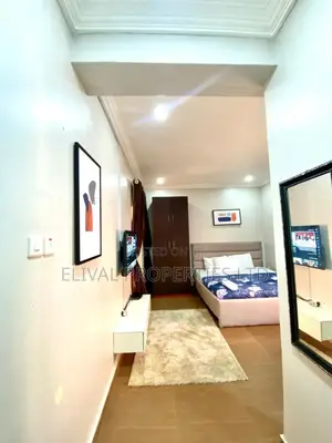 Big Single Room With Kitchen