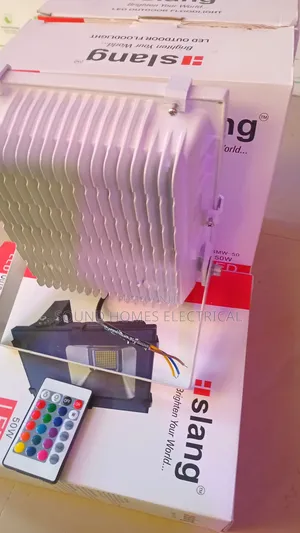 Remote Controlled Floodlight