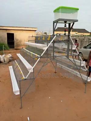 Photo - Chicken Cage That Contain 120birds 19weeks Layers